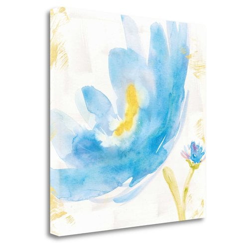 Global Gallery Sue Schlabach Giclee Stretched Canvas Artwork 20 x 16 Global Gallery Sue Schlabach Giclee Stretched Canvas Artwork 20 x 16